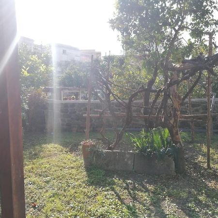 Dimora Coloniale B&B Forio di Ischia 外观 照片