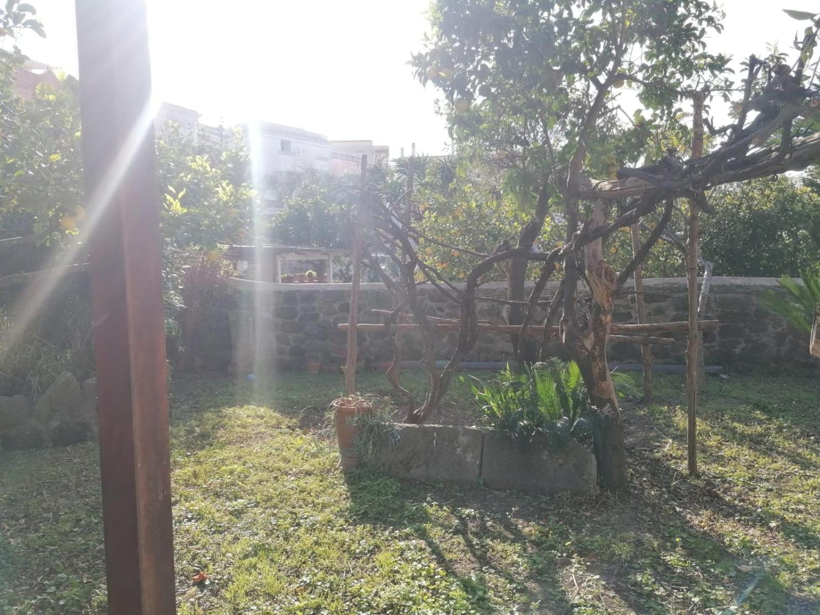 Dimora Coloniale B&B Forio di Ischia 外观 照片