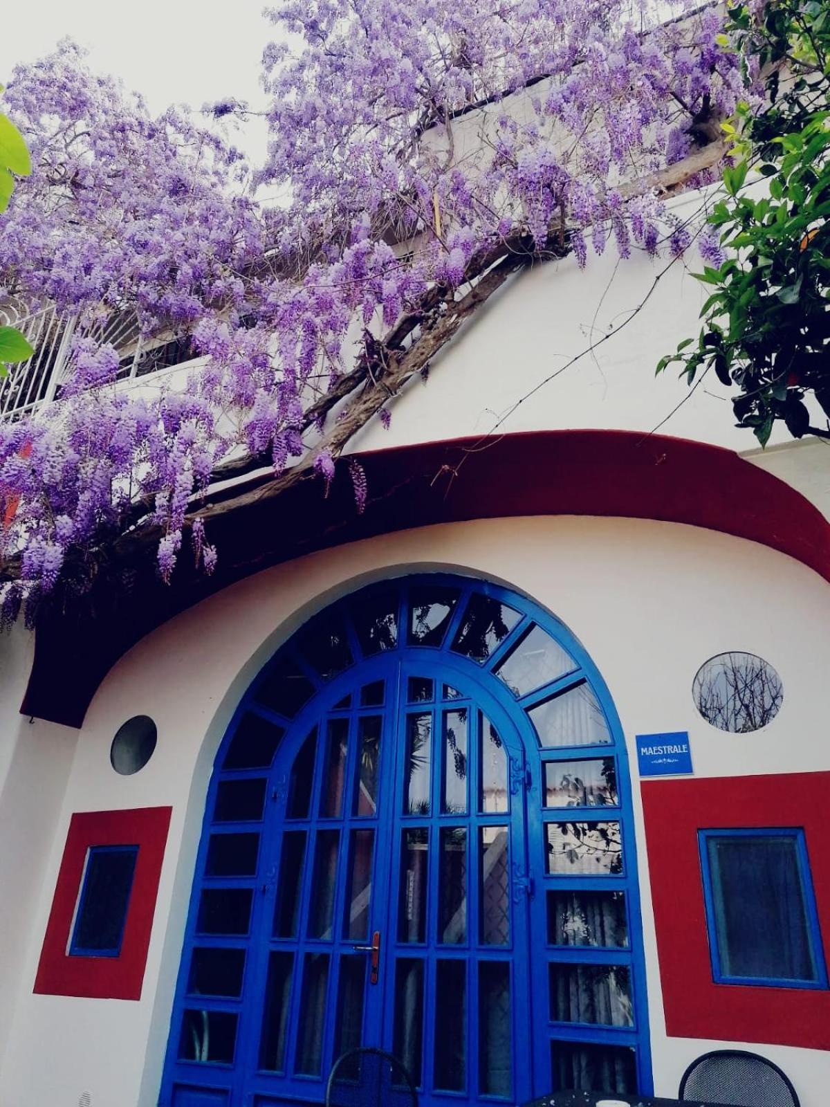 Dimora Coloniale B&B Forio di Ischia 外观 照片